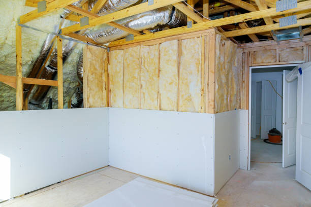 Best Attic Insulation Installation  in USA